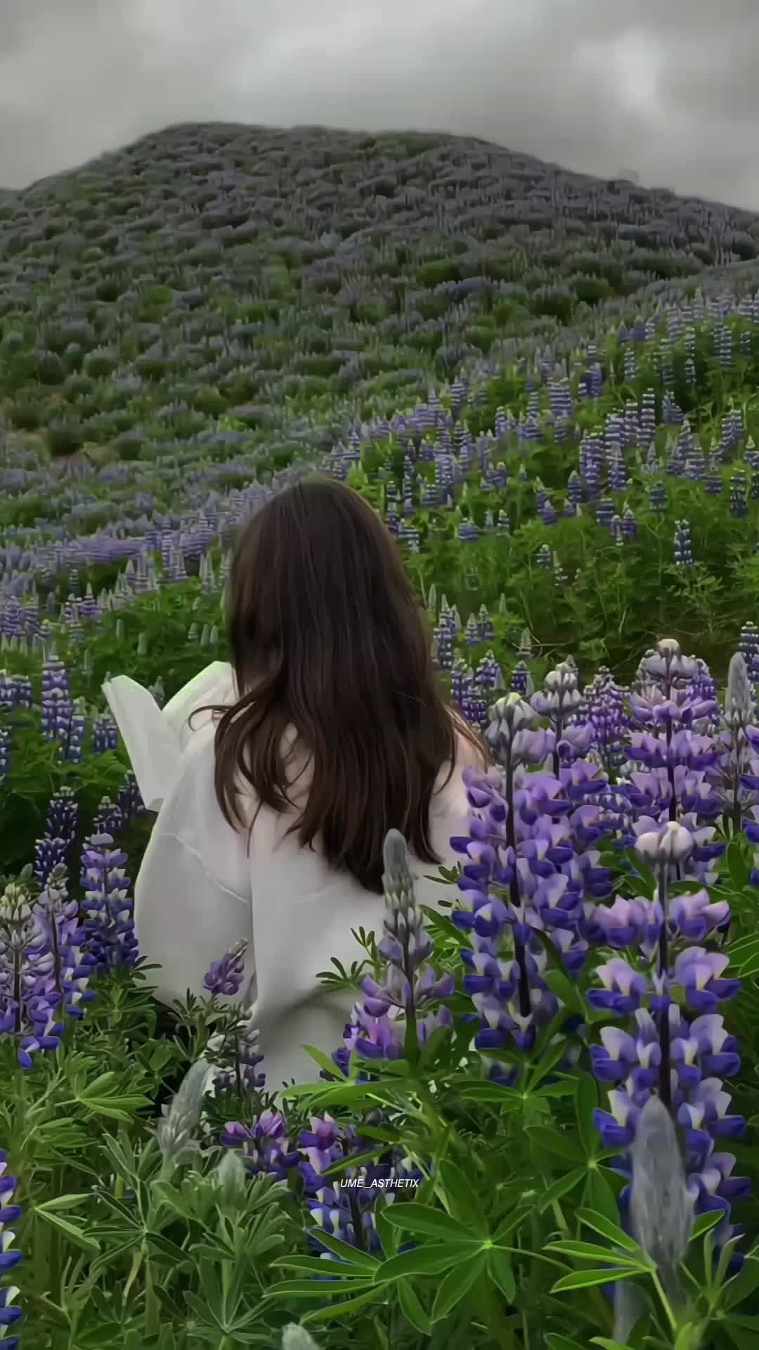 @𝙐 𝙈 𝙀🍁&bull;