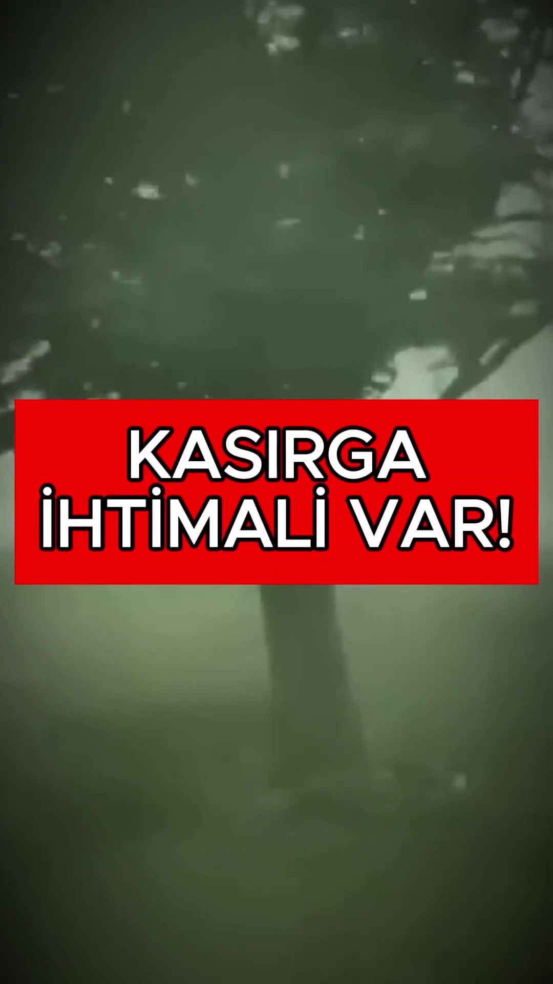 @Havadar