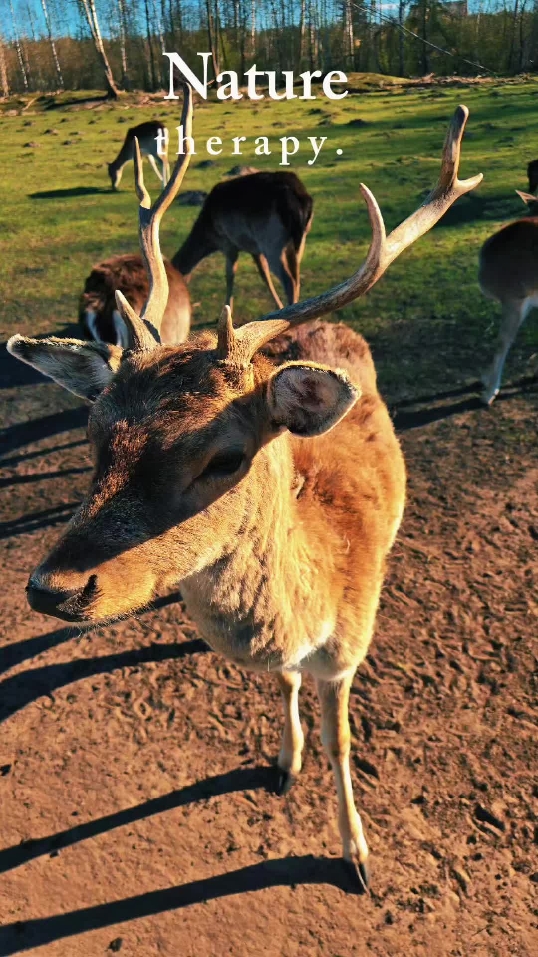 @Marika 🖤