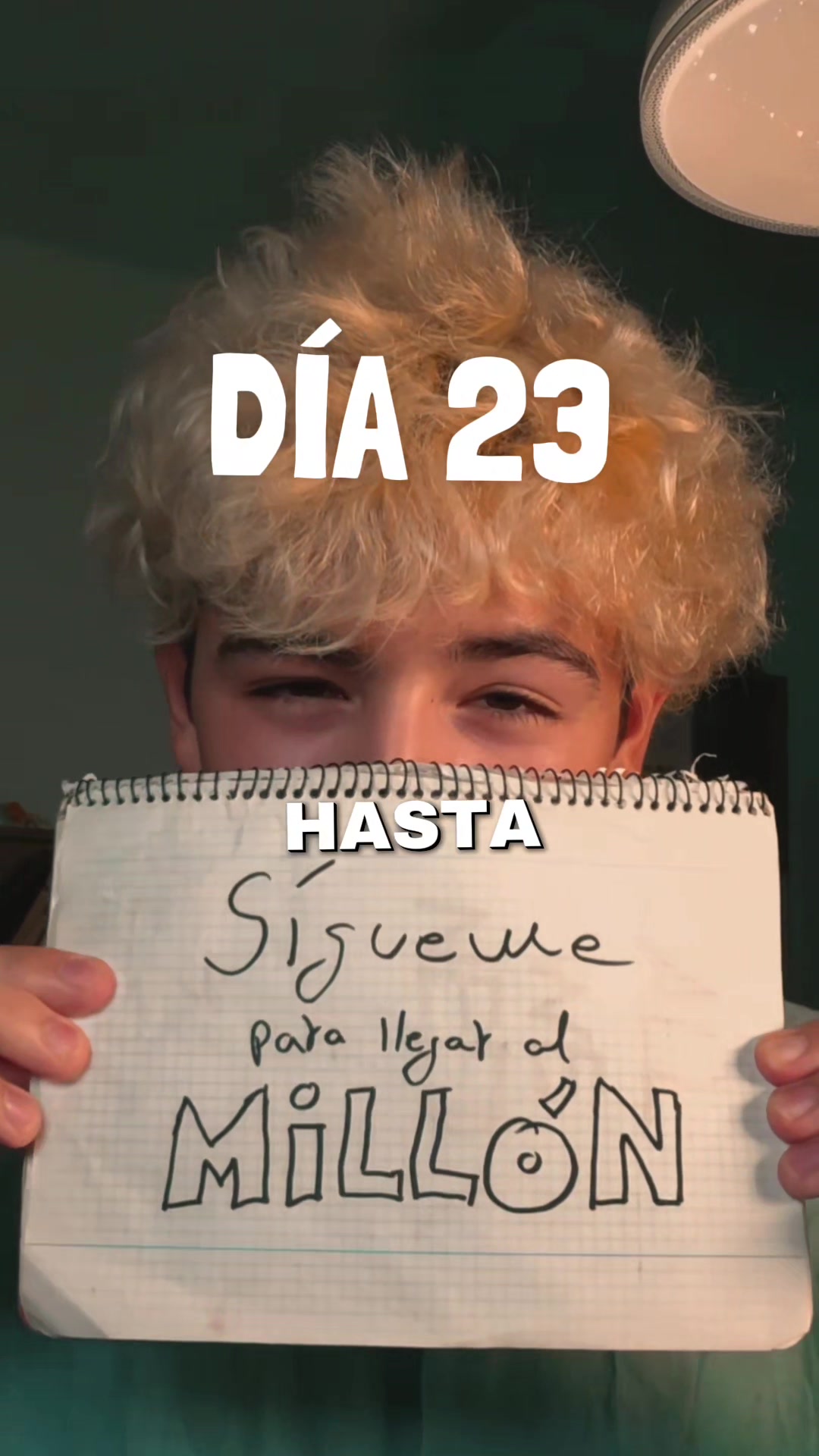 @Zorro Negro