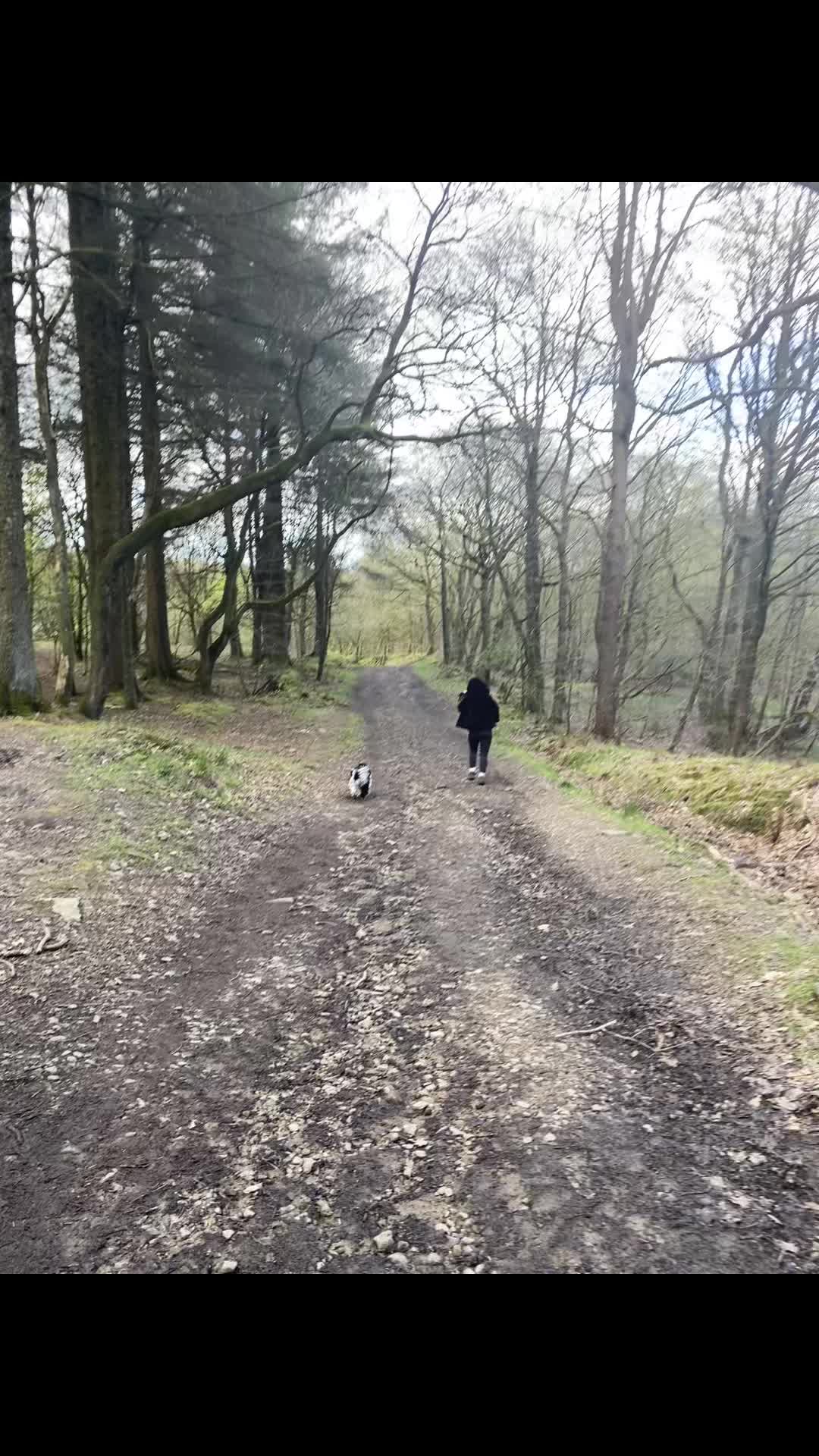@Bev | Dogs &bull; Hills &bull; Outdoors