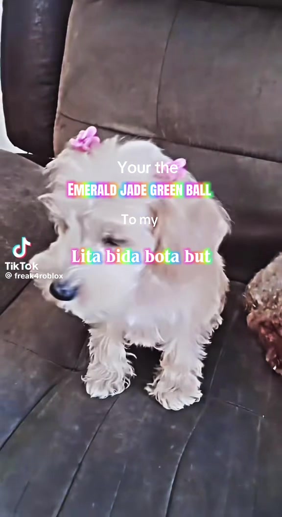 @โชโ.๐ ฬ๐ฎ
