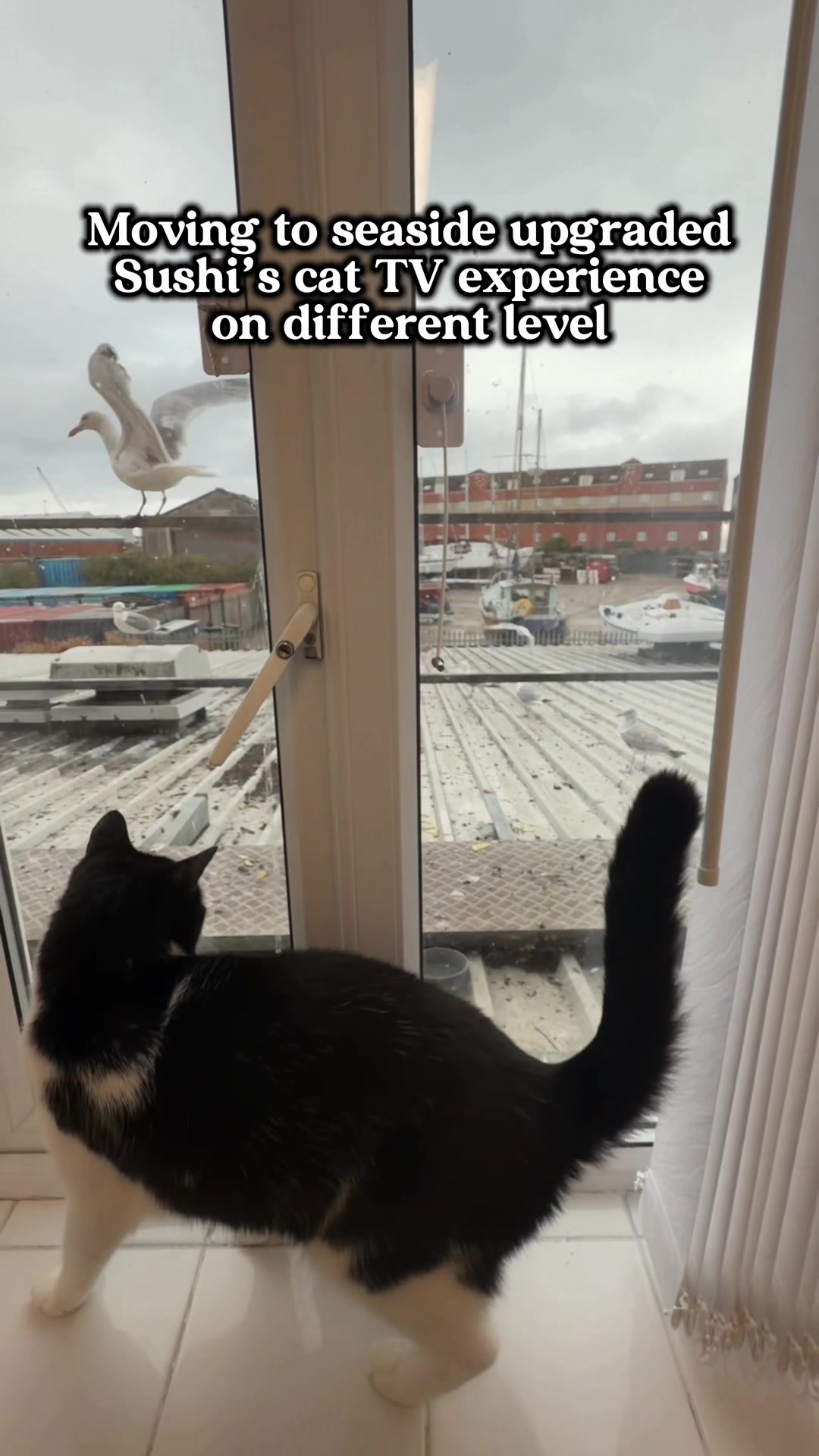 @slavic_cat_mum