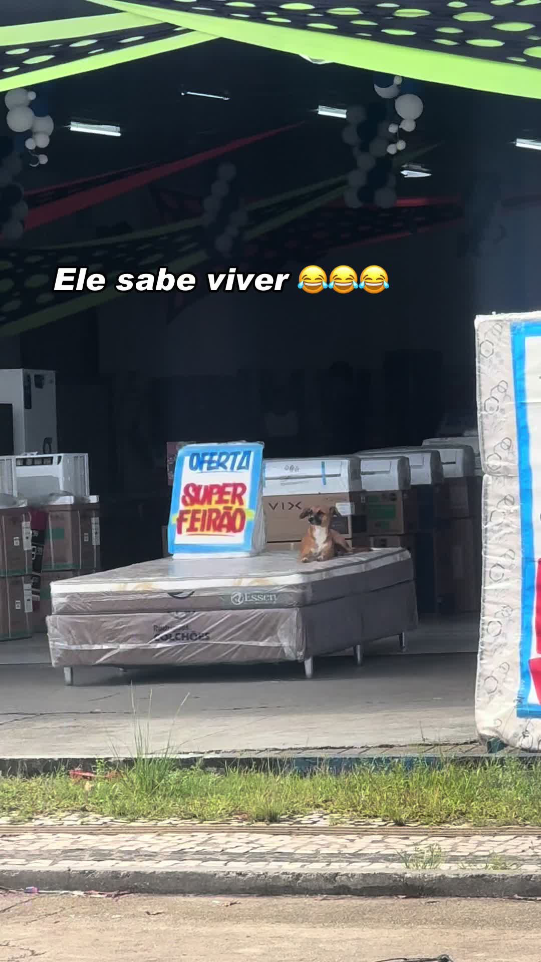 @Jéssica Falcão
