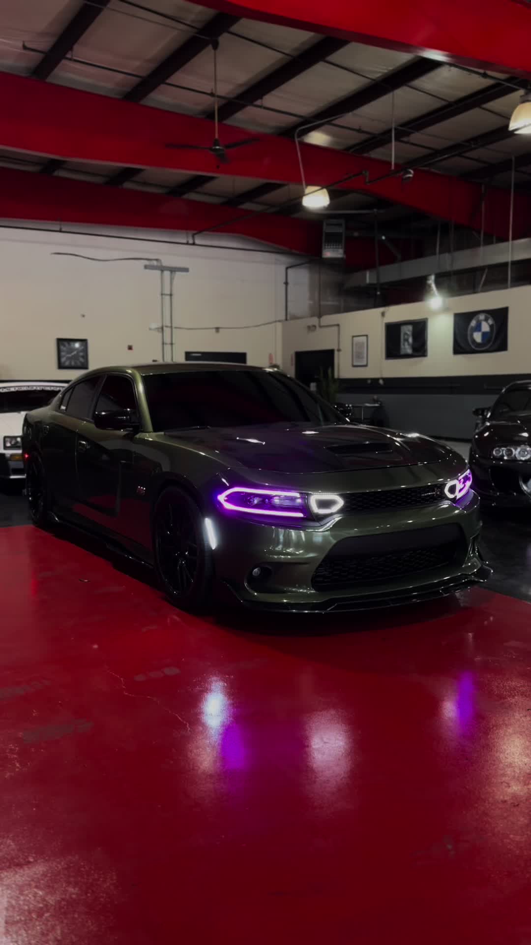 @toxicscatty