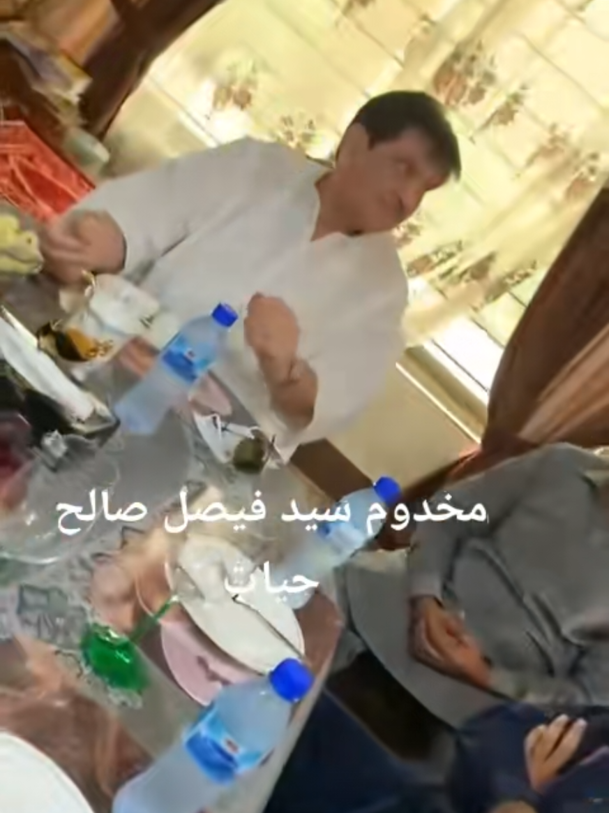 @مخدوم سید فیصل صالح حیات
