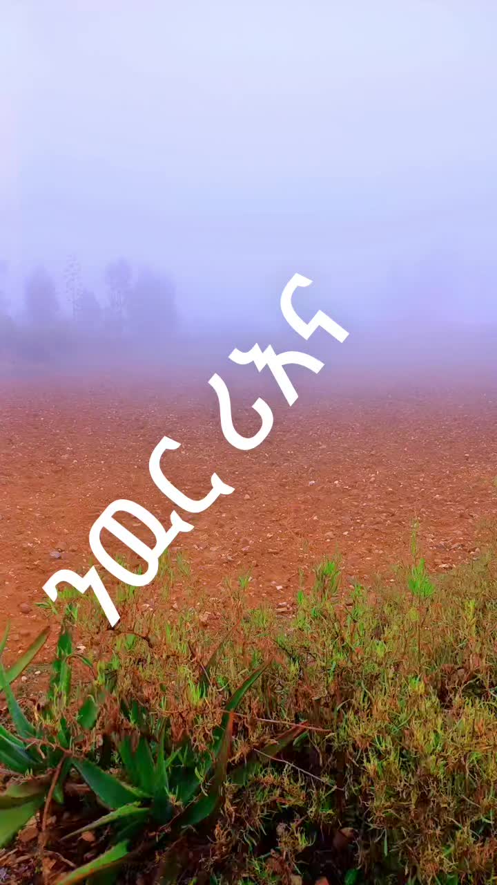 @step by step ዋልያ