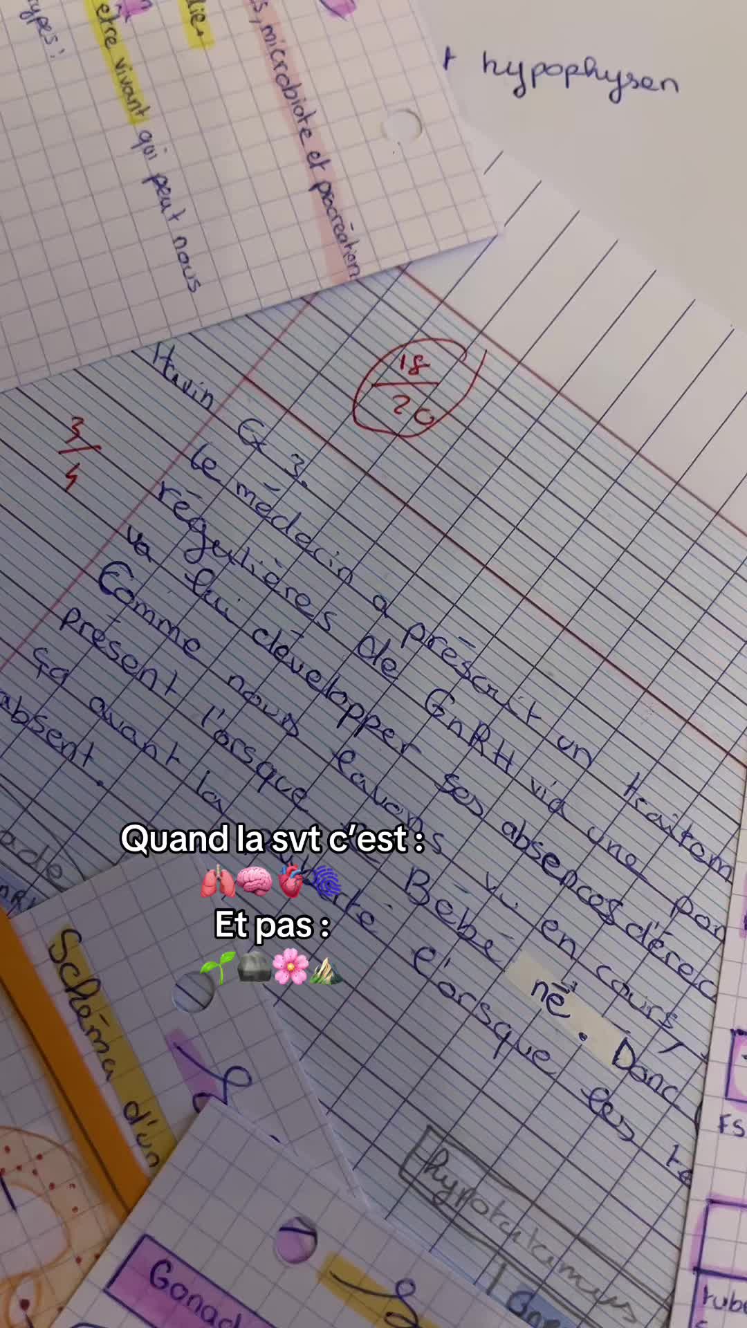@𝑯𝒂𝒗𝒊𝒏