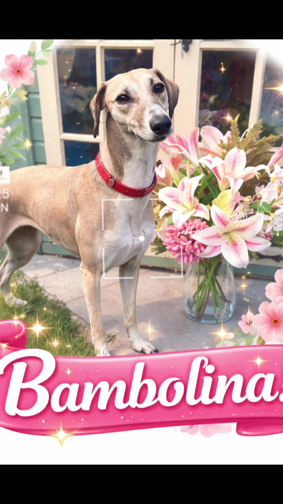 @BambisBlooms