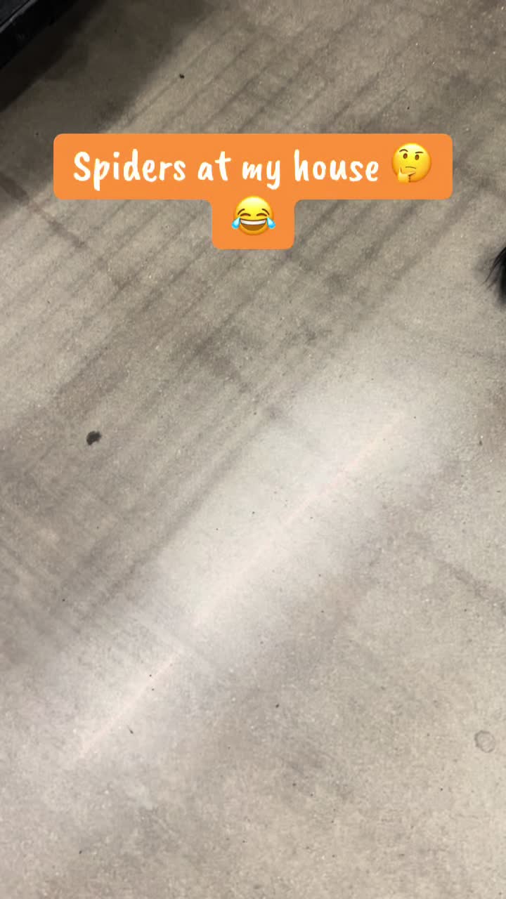 @SweetTeeTee