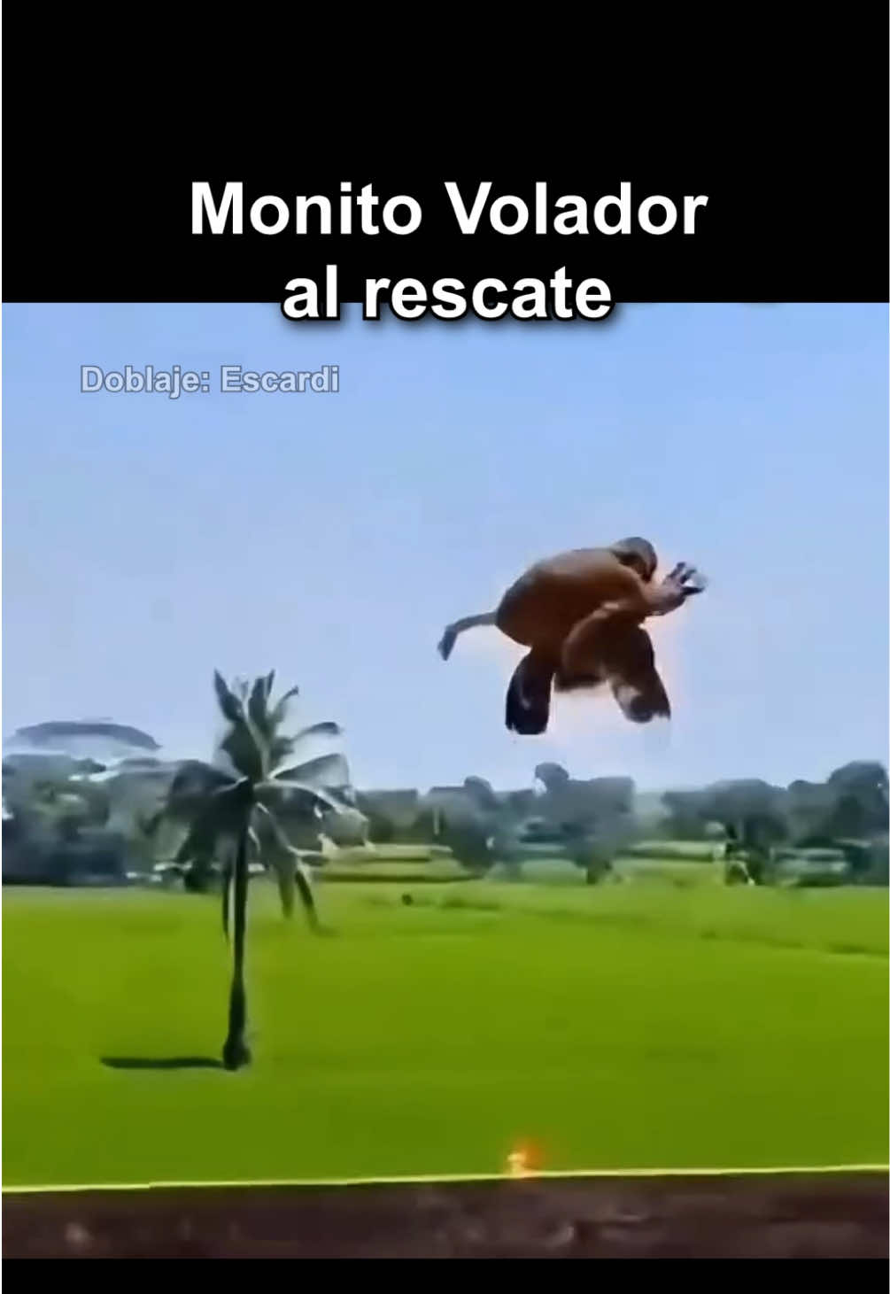 @Escardi