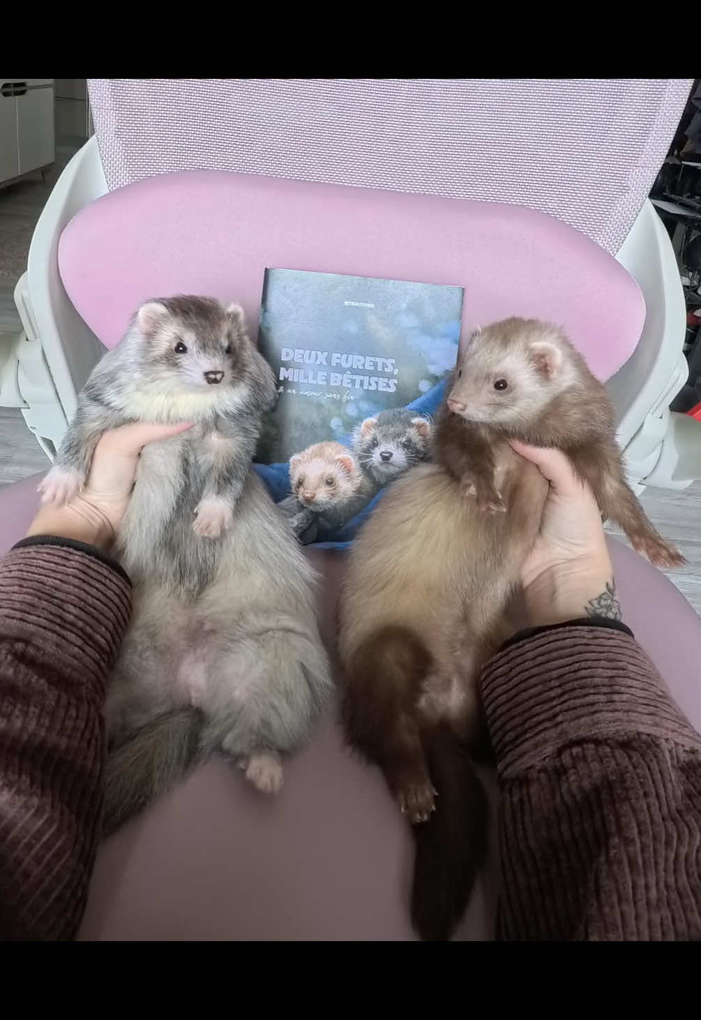 @Tsuki et Toka