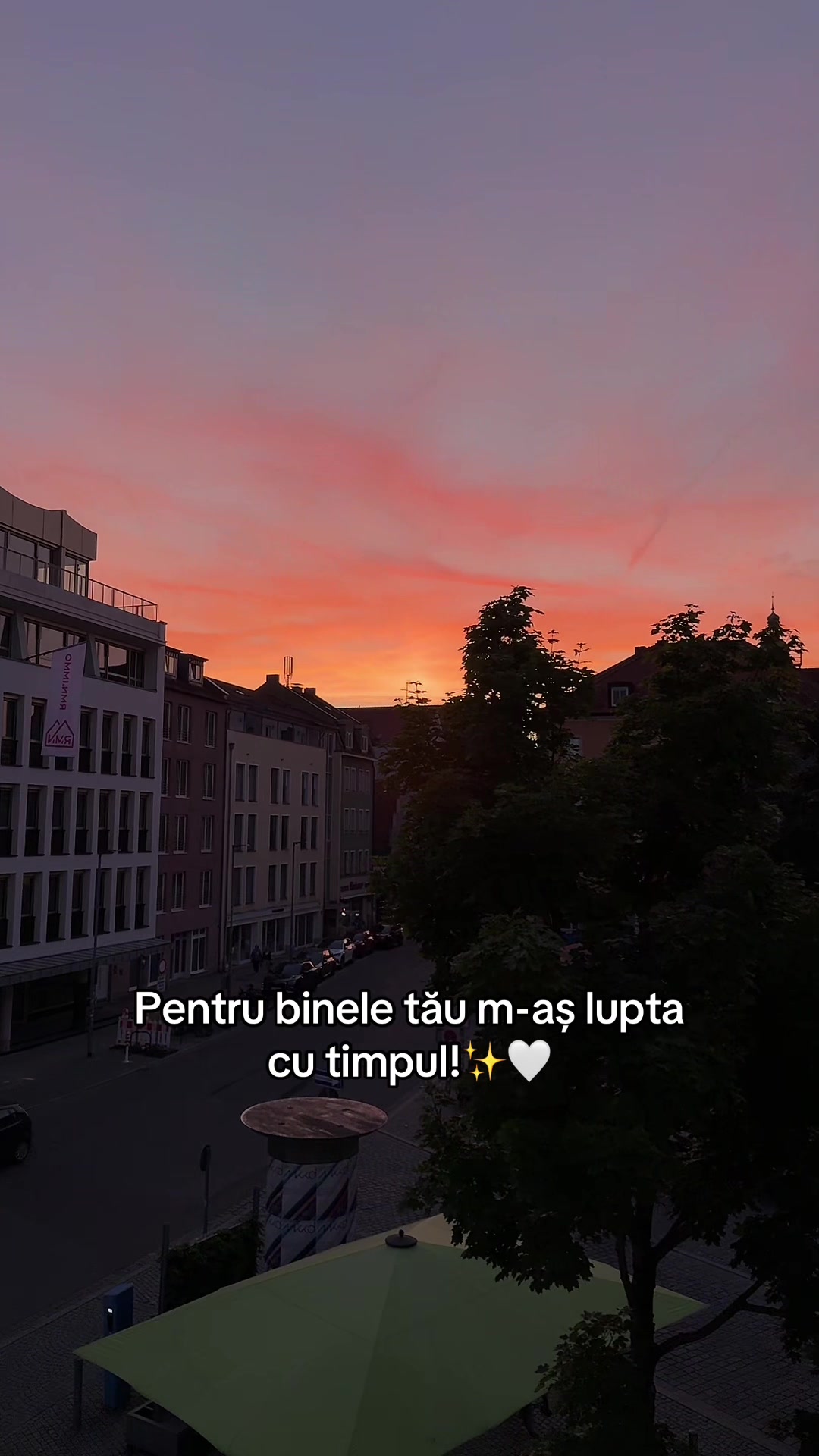 @ℛ𝒶𝓂ℴ𝓃𝒶 𝒜𝓇𝓉ℯ𝓃𝒾