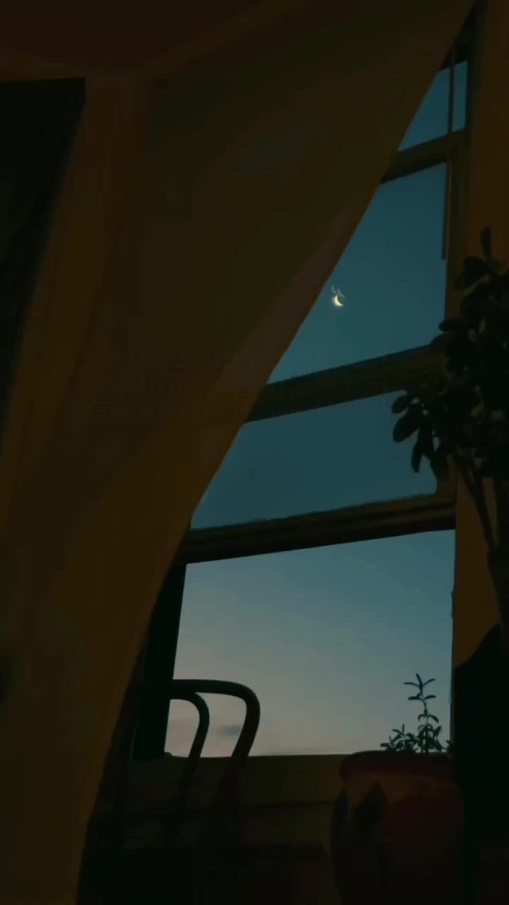 @i̴t̴’s̴_a̴i̴n̴a̴✨