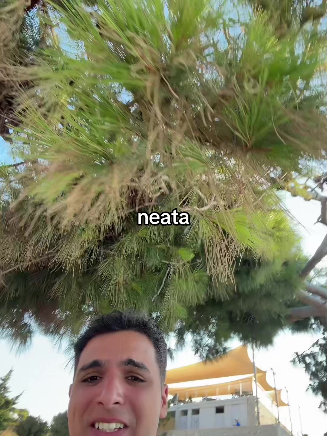 @meitii