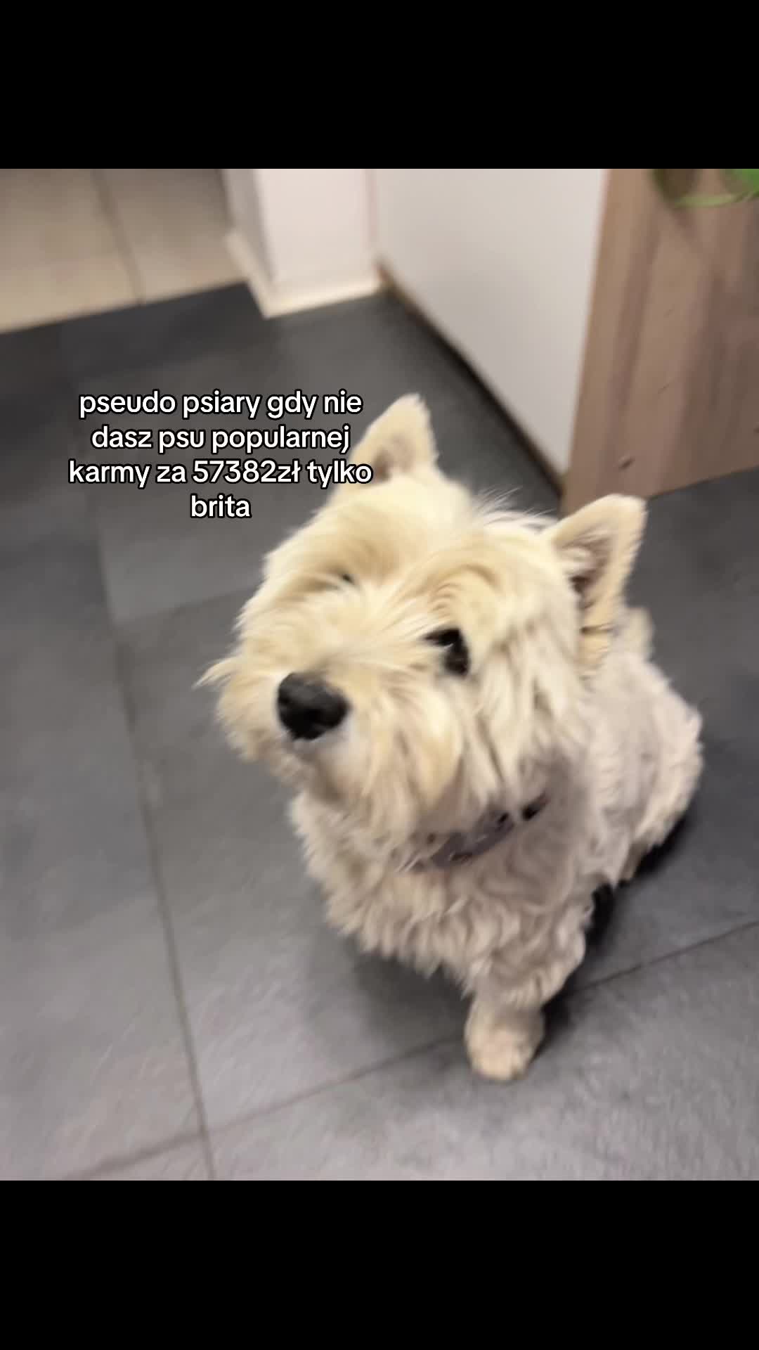 @𝑱 𝑶 𝑲 𝑬 𝑹