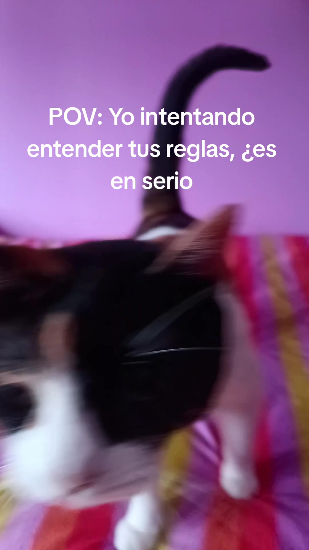 @Pilar Murillo García📚📖🛖❤️