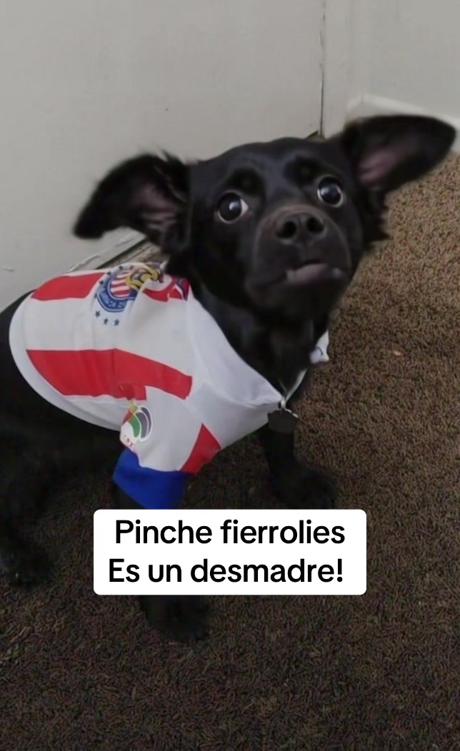 @Elchalo