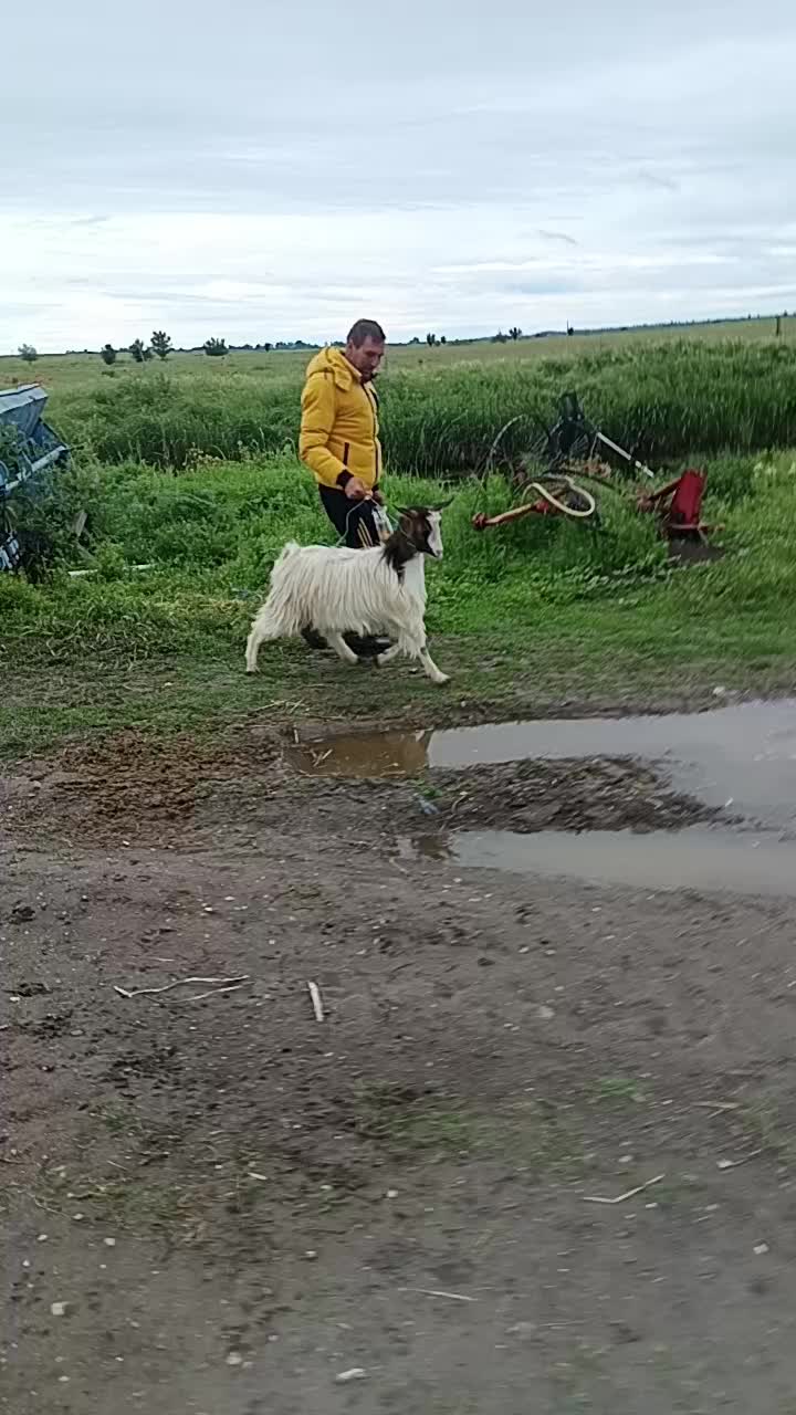 @Cristian Mihaila355