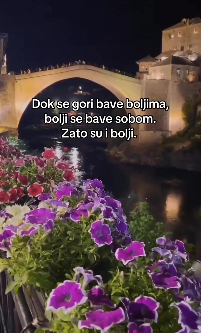 @𝑫𝑰𝑵𝑨 𝑭𝑬𝑹𝑰𝒁