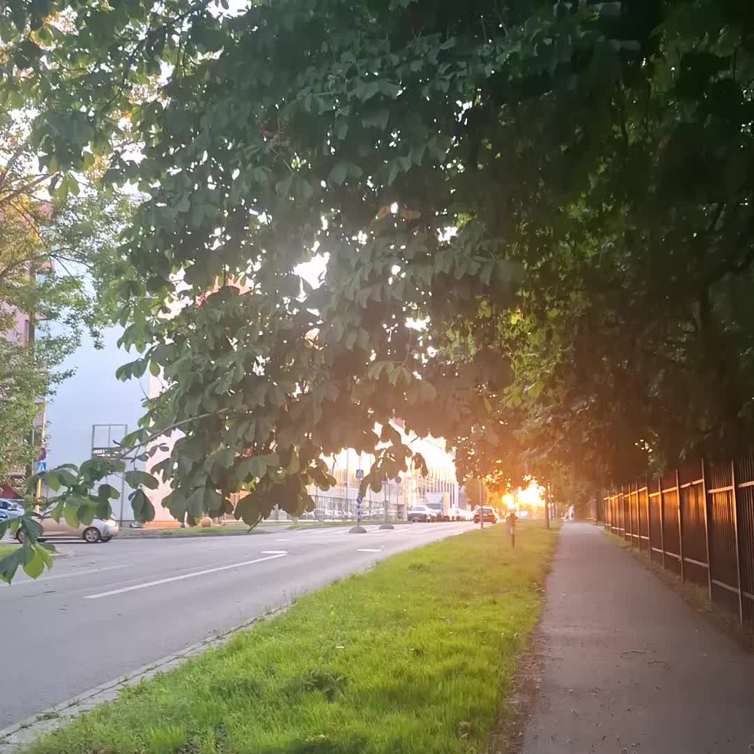 @anneliv000