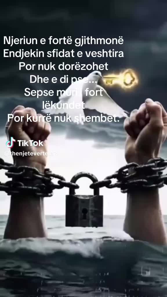 @Strateg1