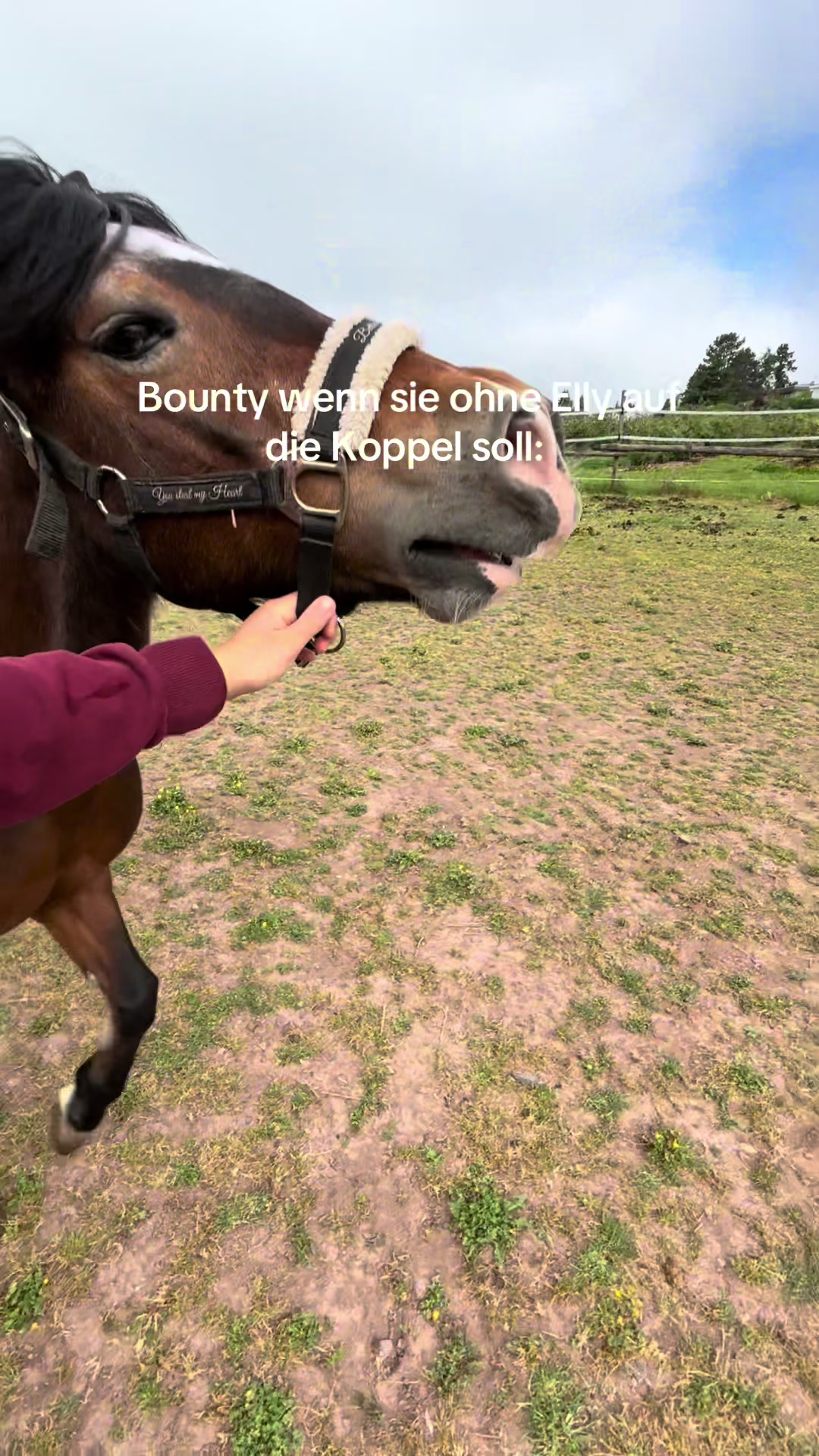 @Kinderreitenfulda