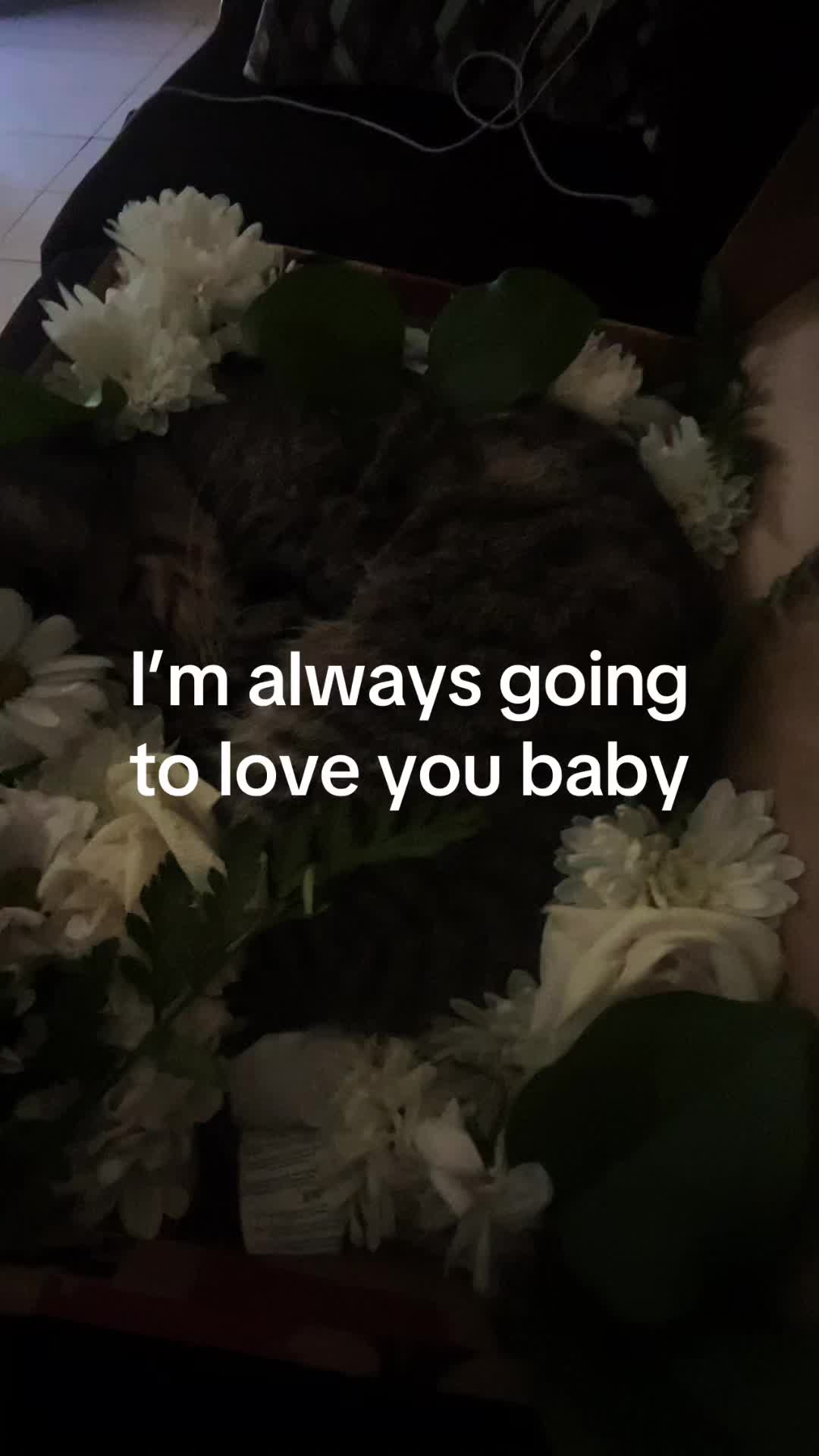 @_bbyange1