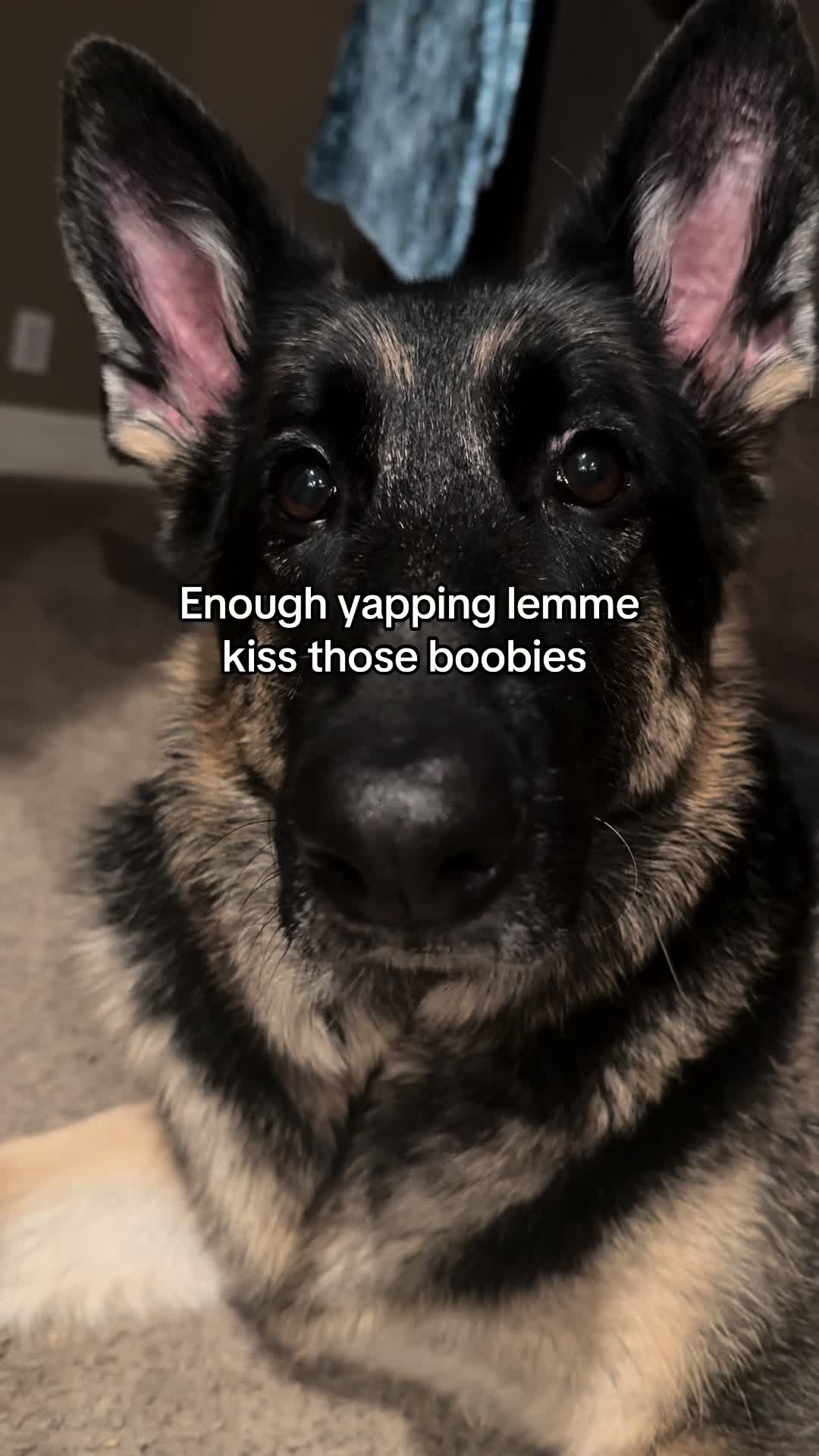 @Bhris