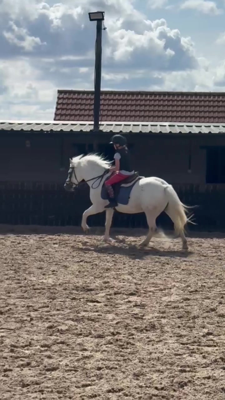 @LottiesHorseAdventures🦄🐴