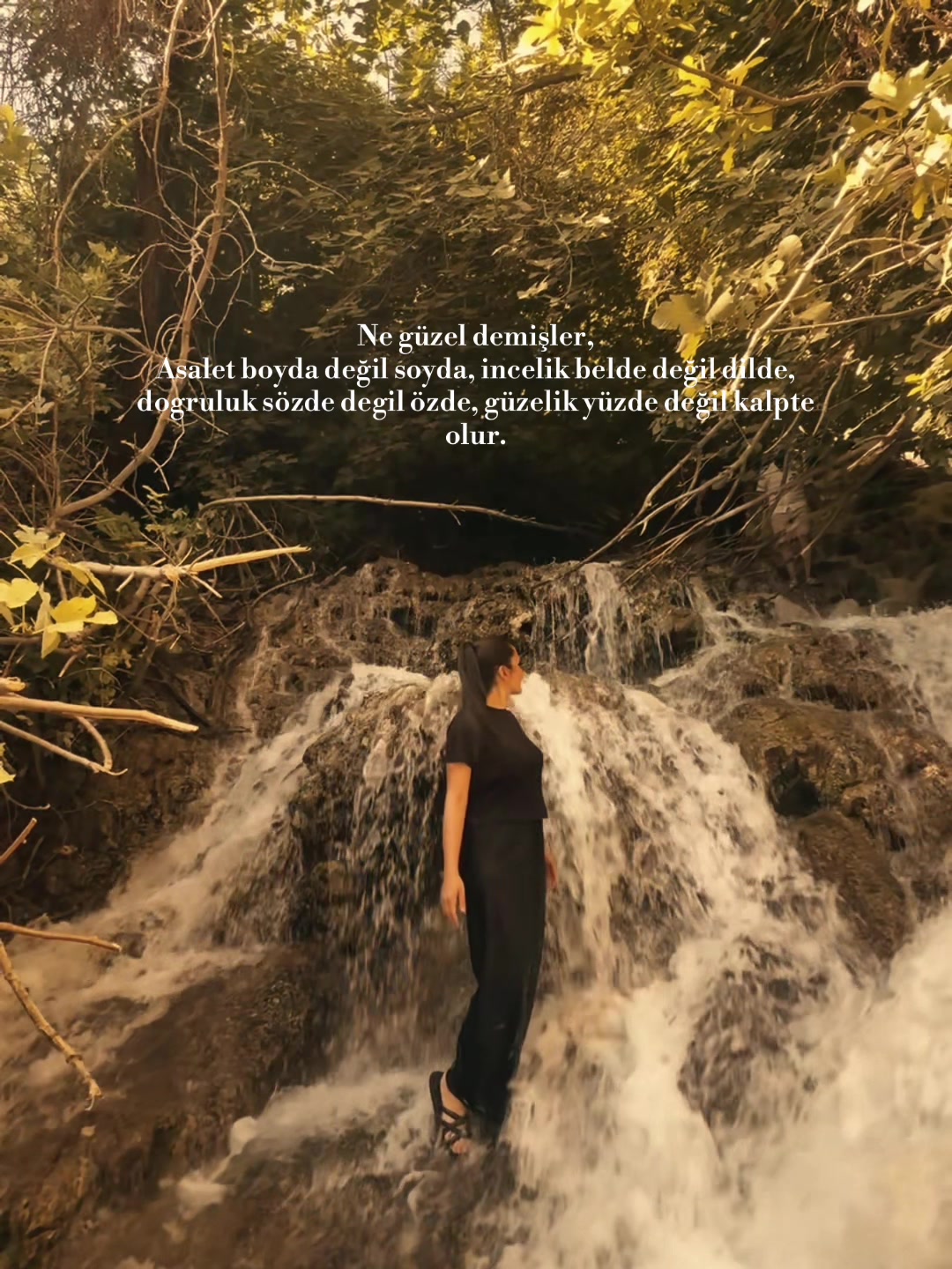 @S&uuml;meye