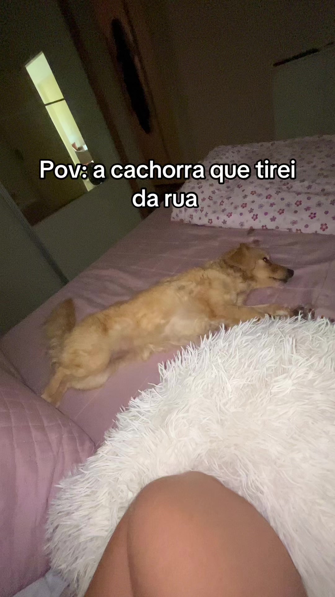 @eufranciele..a