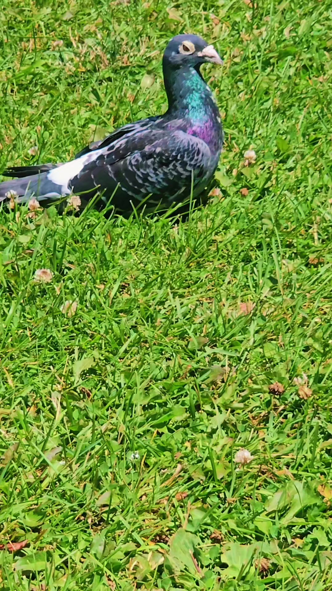 @I Love Nature