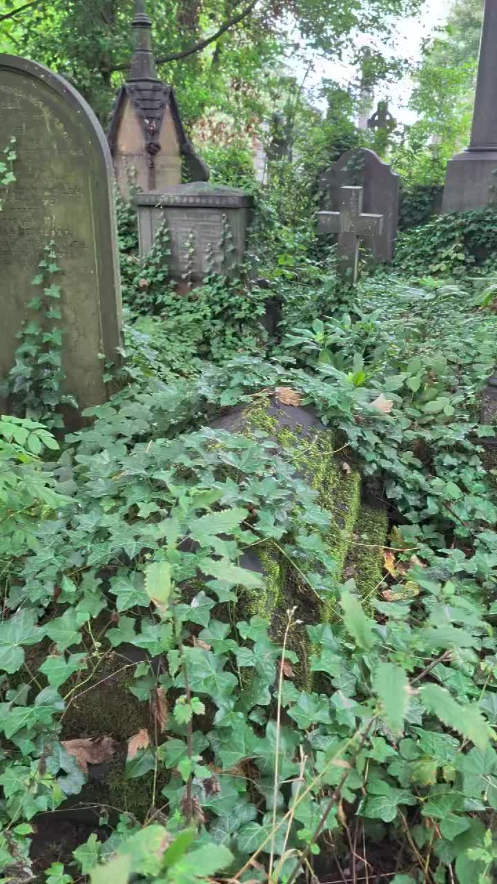 @GraveSnape🪦