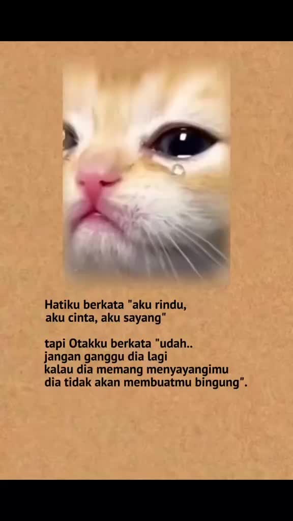 @sanaji