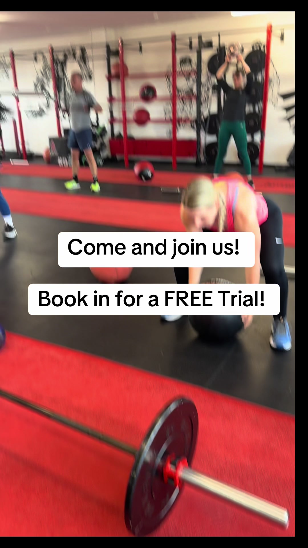 @FitnessFlex
