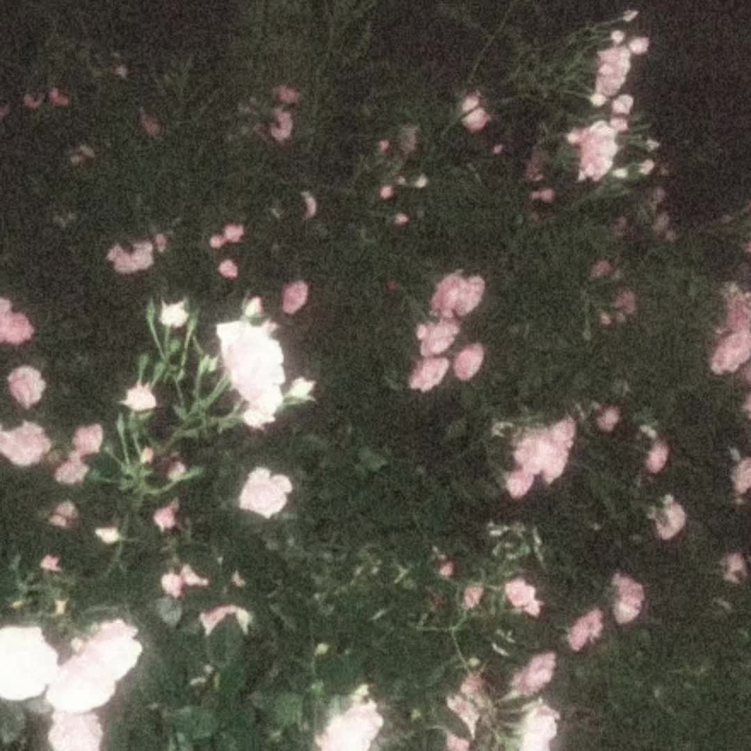 @𝘿𝙄𝙂𝙄𝙏𝘼𝙇𝙄𝙎