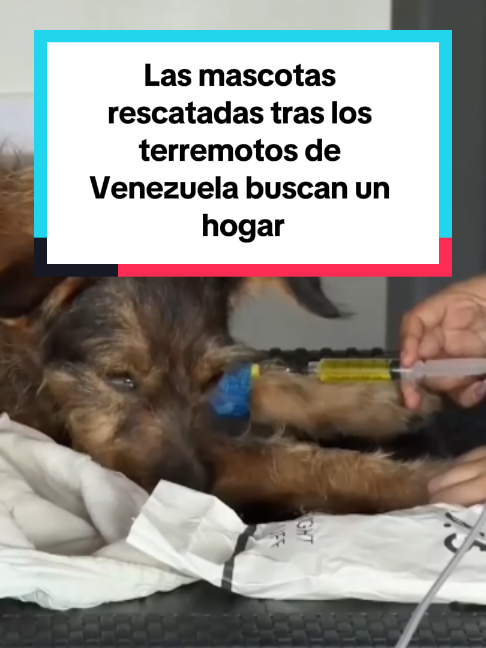 @El Pa&iacute;s