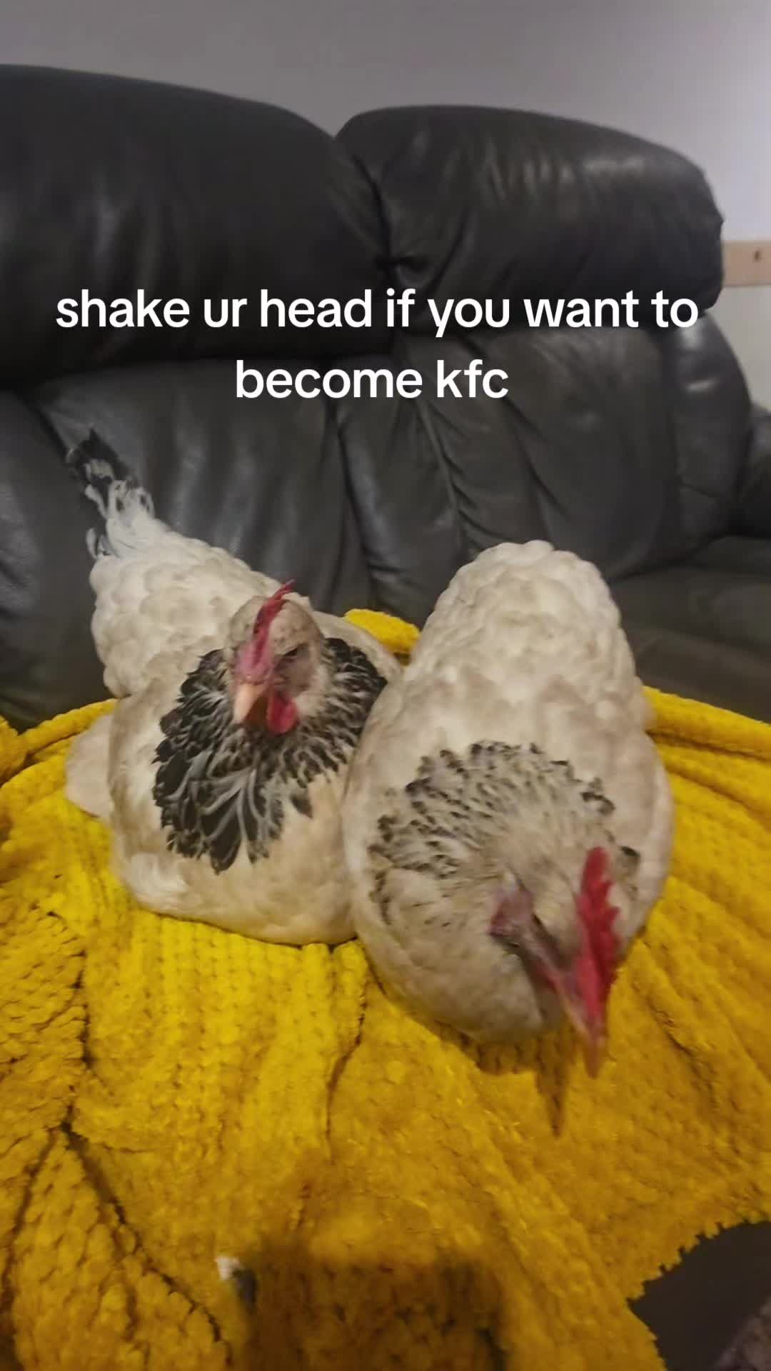 @Cail.Snail08
