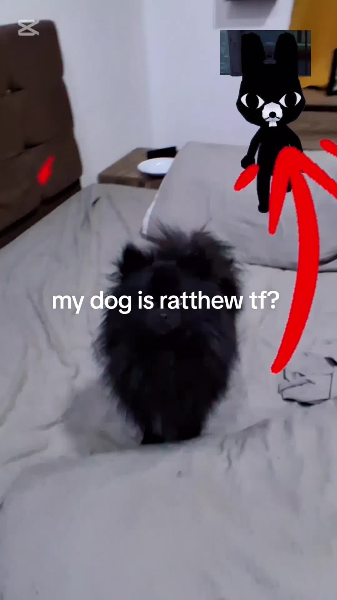 @ReconStatic