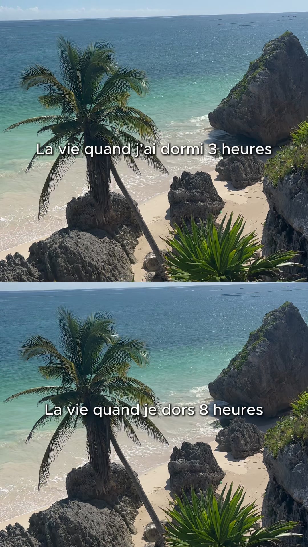 @𝑭𝑳𝑶