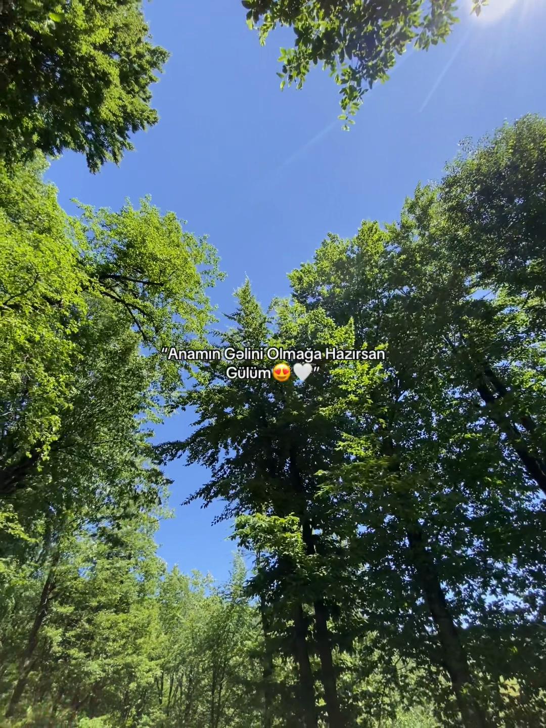 @𝐅𝐚𝐦𝐢𝐥❤️&zwj;🩹🩹