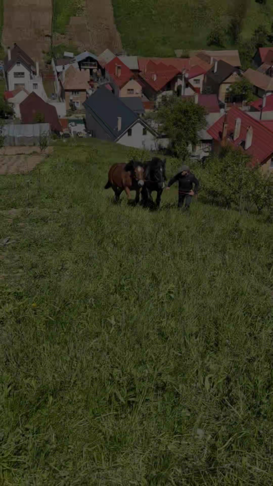 @🤠 Georgiana 🐴