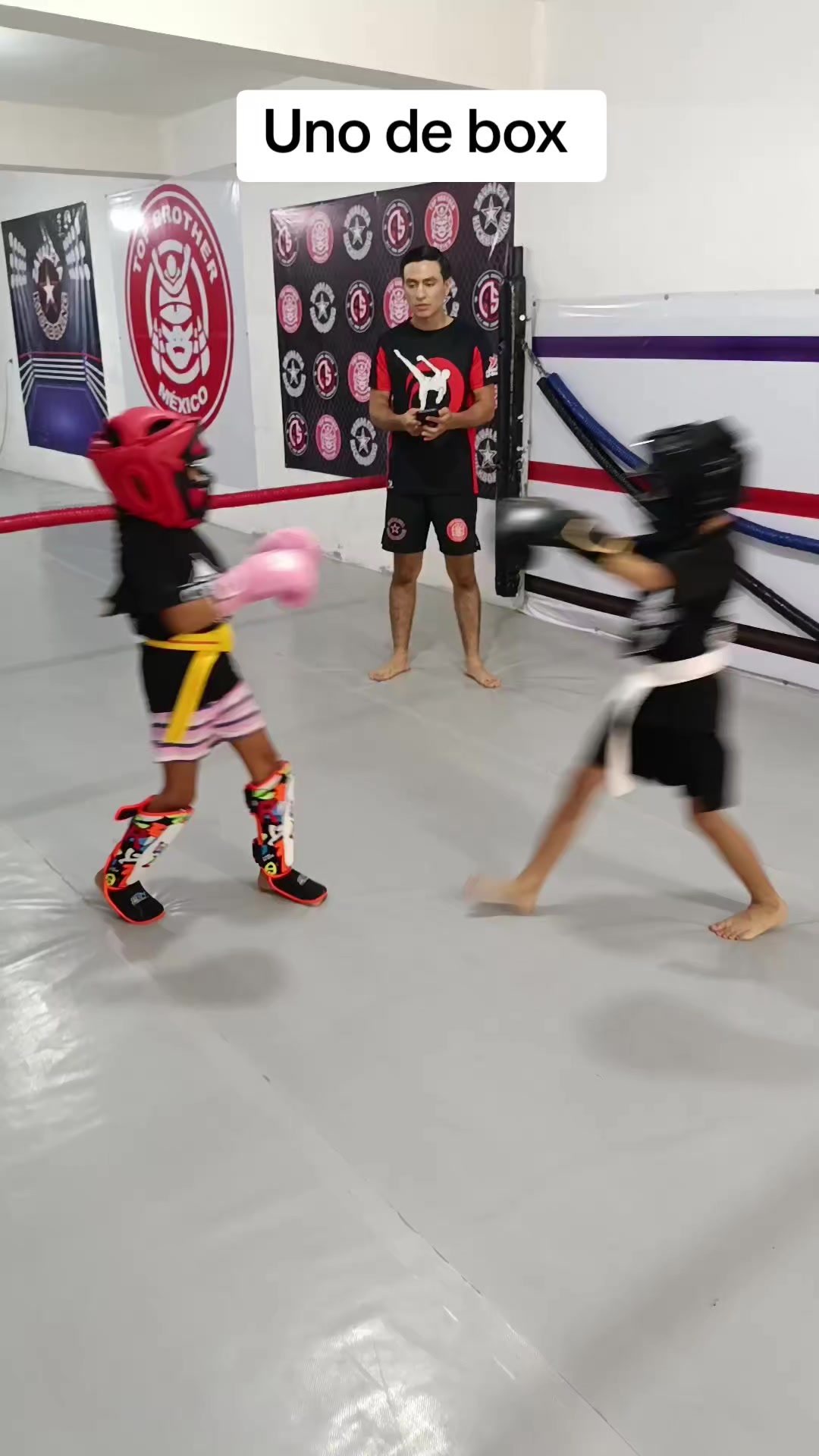 @ZavaletaKickboxing_mma