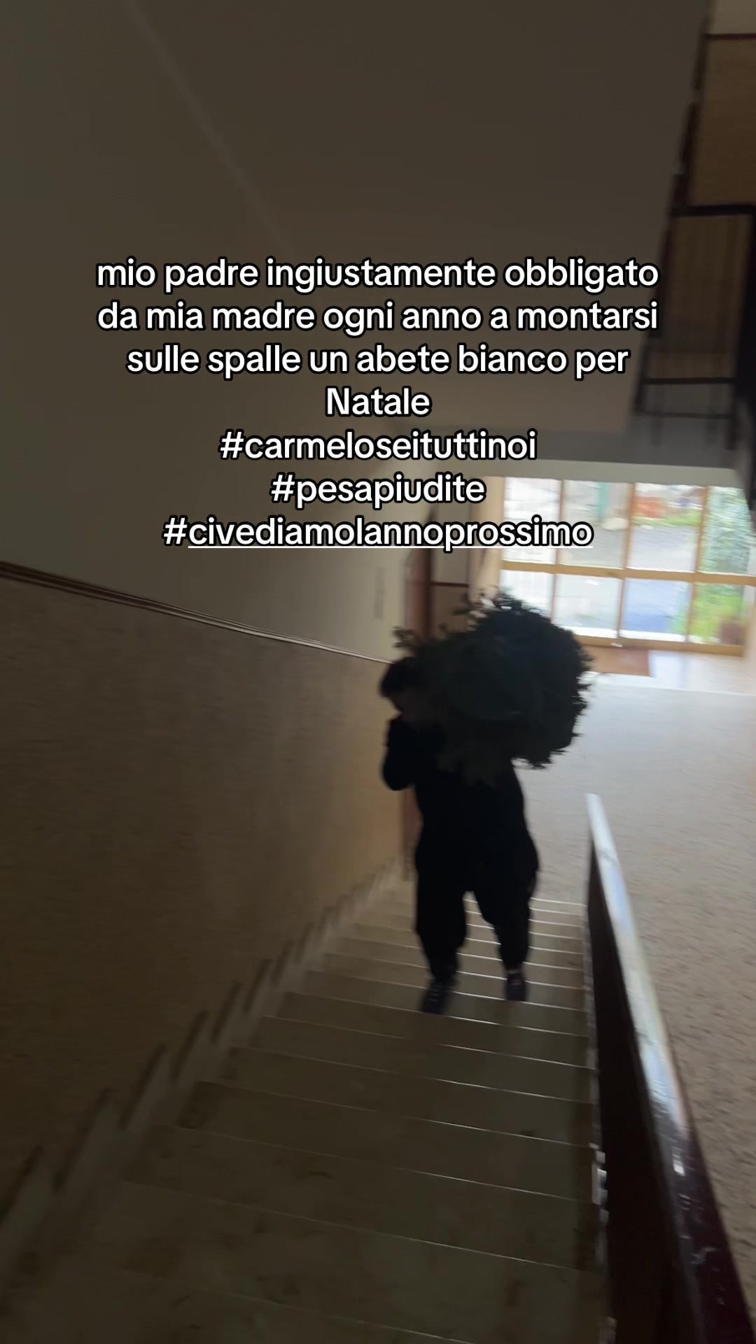 @Federicassss