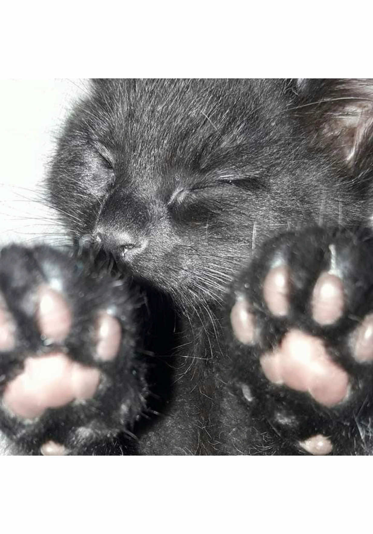 @дертидарина💤