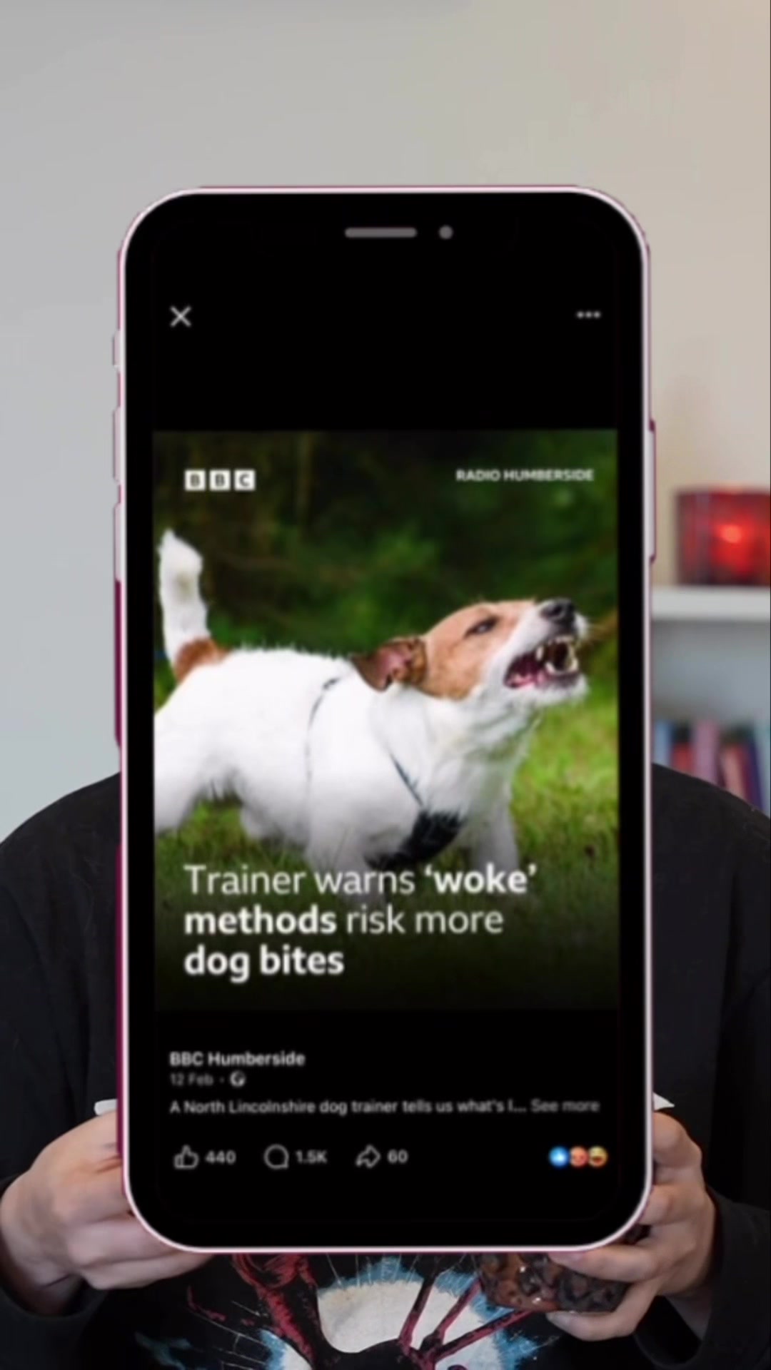 @Amelia the Dog Trainer