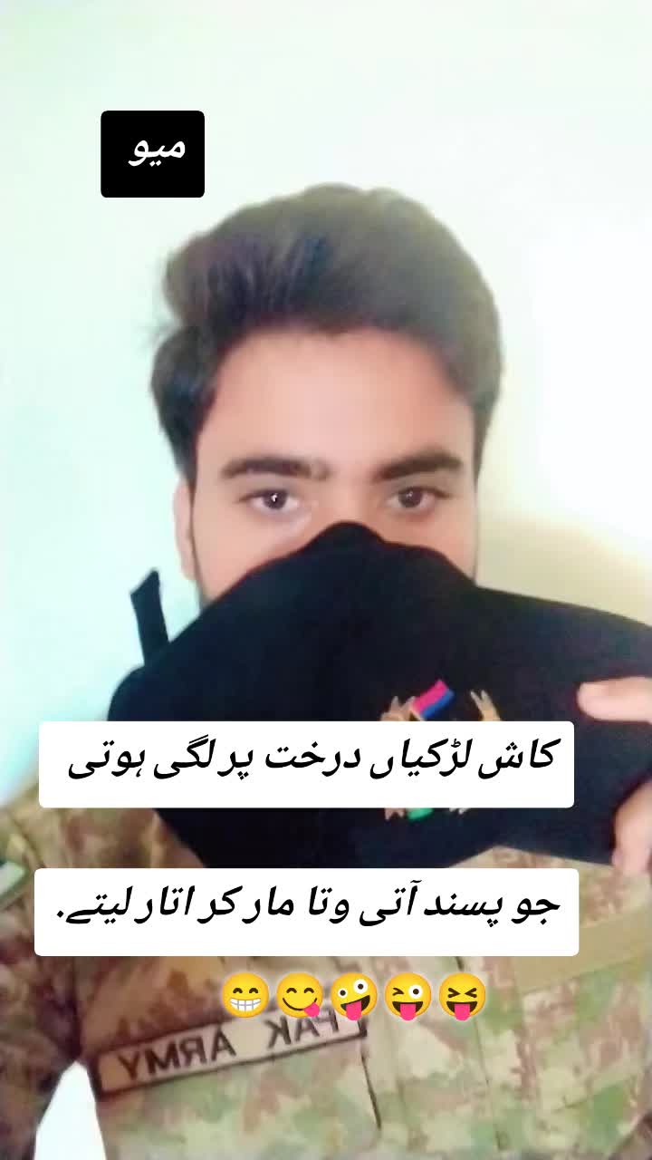 @user53772644511
