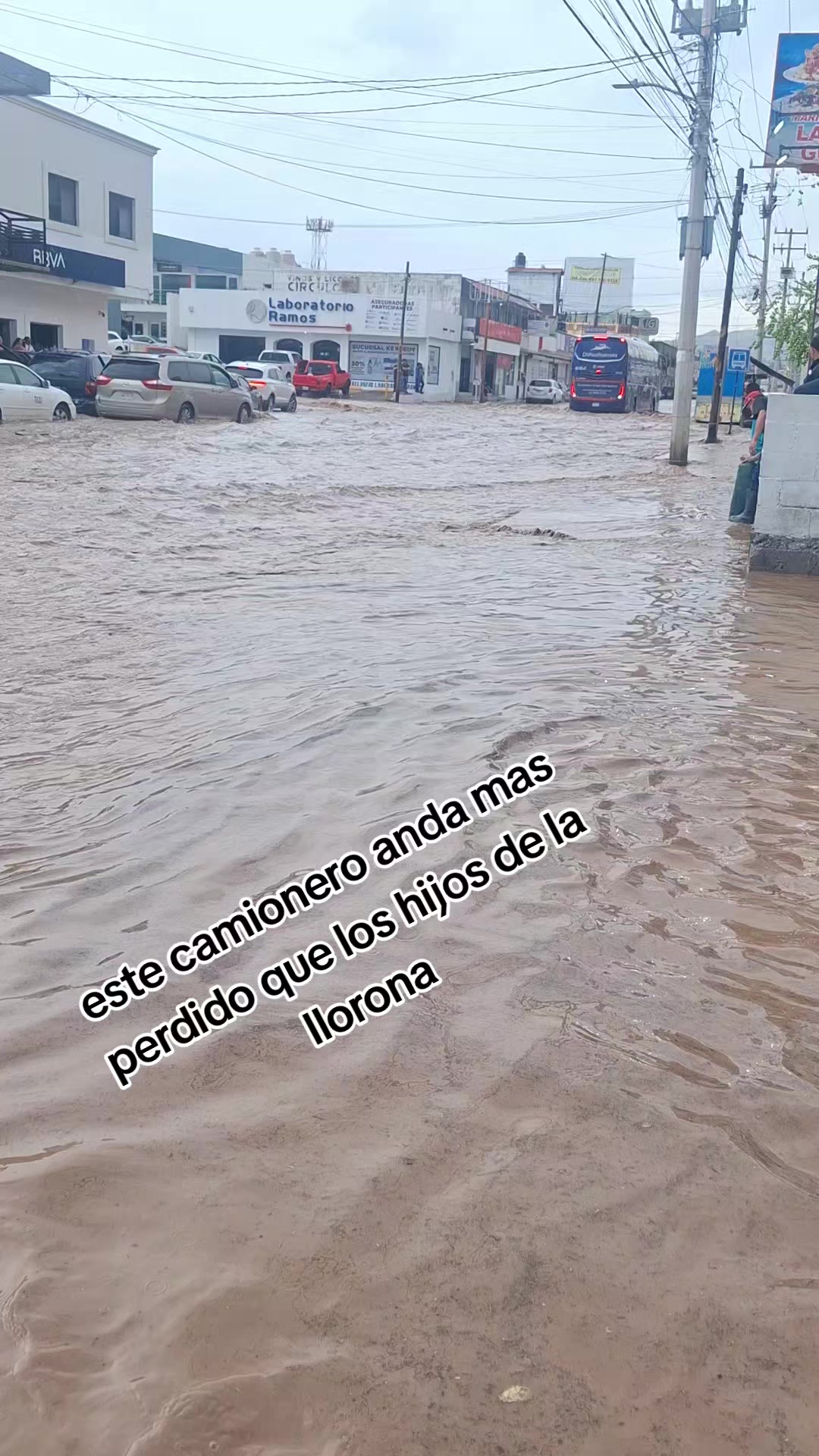 @Medina