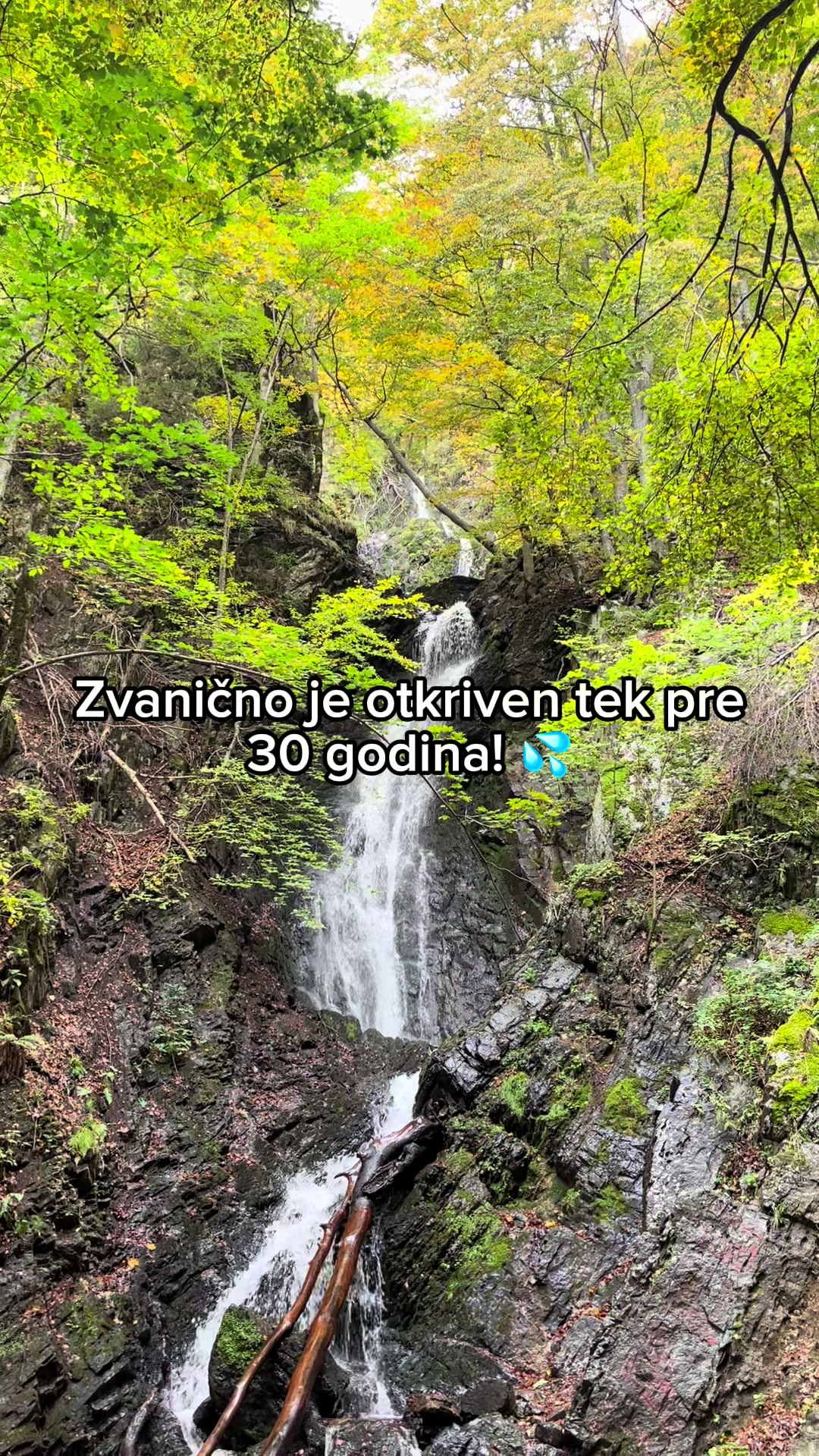 @gen_lutalica